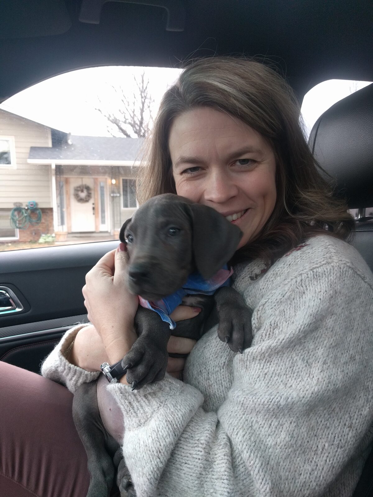 The first photo of Magni as a tiny blue Great Dane puppy.