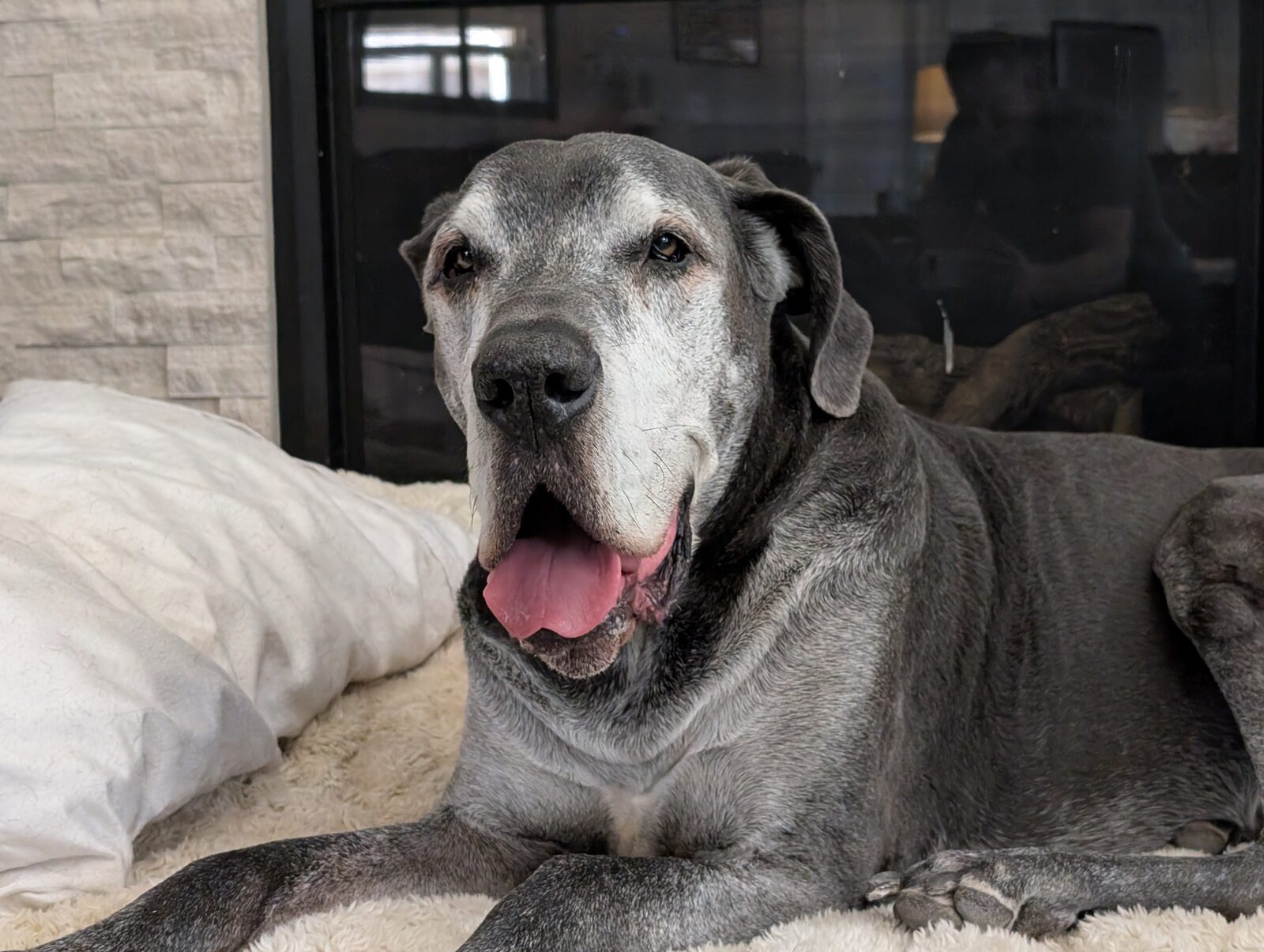 Magni on his bed in the living room, surrounded by family.